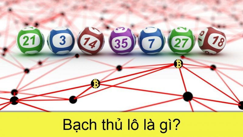 Khái niệm về bạch thủ lô? Điều bạn cần biết về bạch thủ lô